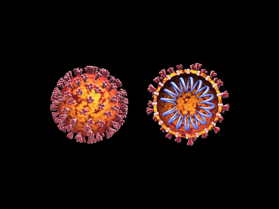 Ứng dụng trí tuệ nhân tạo trong tìm kiếm vaccine phòng chống nCoV