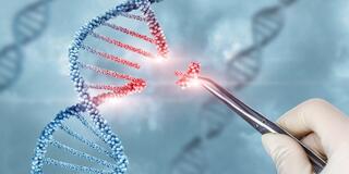 Những điều bạn cần biết về liệu pháp gen (Gene Therapy)
