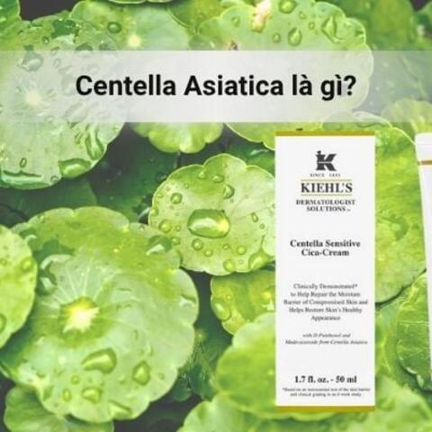 Centella Asiatica là gì? Có công dụng gì cho da mặt?