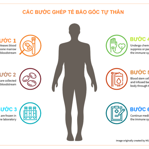 GHÉP TẾ BÀO GỐC VÀ GHÉP TỦY XƯƠNG TRONG ĐIỀU TRỊ UNG THƯ