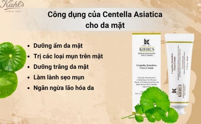 Công dụng của Centella Asiatica cho da mặt