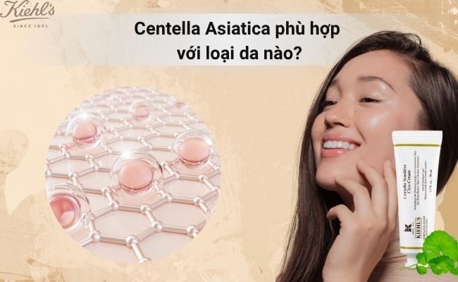 Centella Asiatica phù hợp với loại da nào
