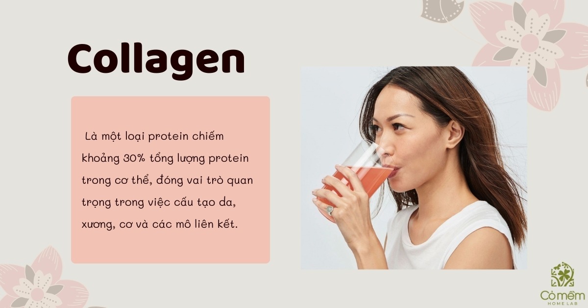 nên uống viên trắng da hay collagen