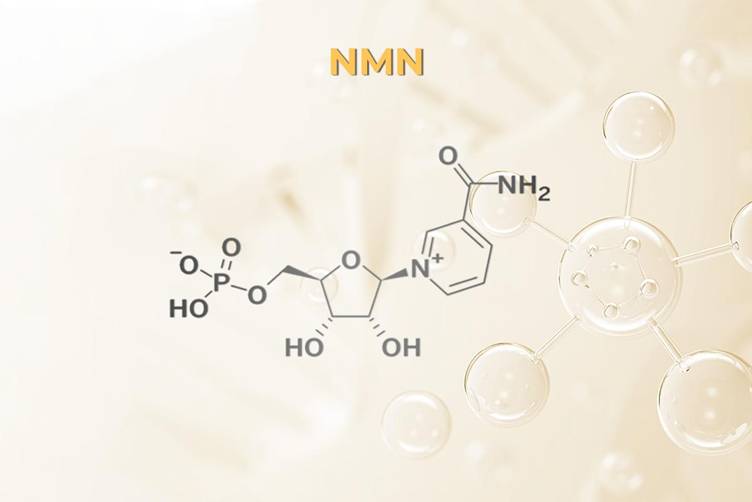 Hiểu đúng về NMN và nhận diện sản phẩm đáng tin cậy