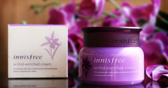 Innisfree Jeju Orchid Enriched Cream
